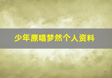 少年原唱梦然个人资料