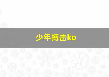 少年搏击ko