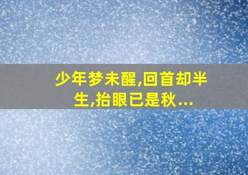 少年梦未醒,回首却半生,抬眼已是秋...