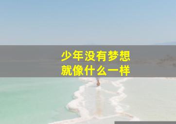 少年没有梦想就像什么一样