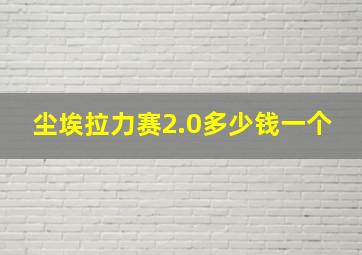 尘埃拉力赛2.0多少钱一个