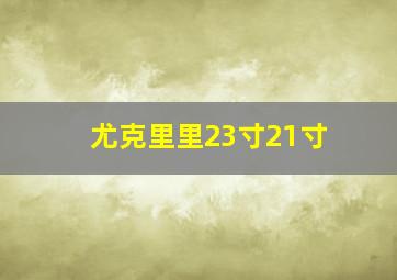 尤克里里23寸21寸