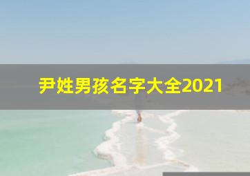 尹姓男孩名字大全2021