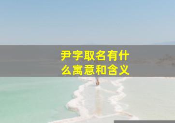 尹字取名有什么寓意和含义