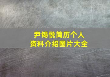 尹锡悦简历个人资料介绍图片大全