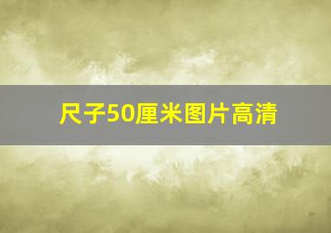 尺子50厘米图片高清