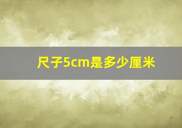 尺子5cm是多少厘米