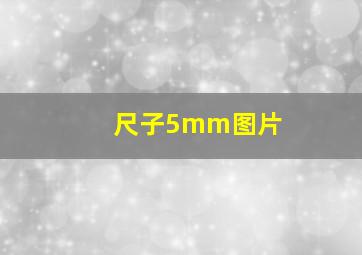 尺子5mm图片