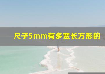 尺子5mm有多宽长方形的