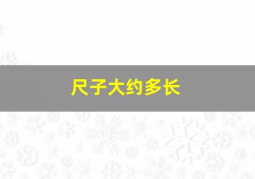 尺子大约多长