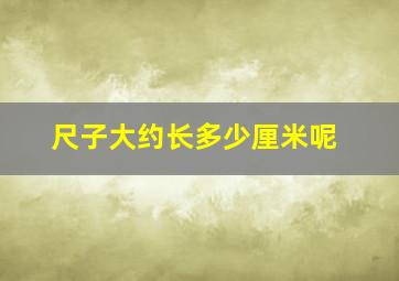 尺子大约长多少厘米呢