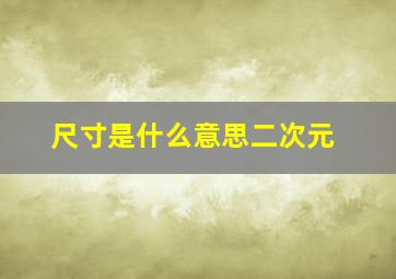 尺寸是什么意思二次元