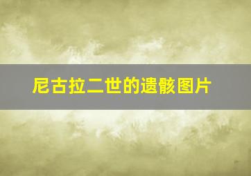 尼古拉二世的遗骸图片