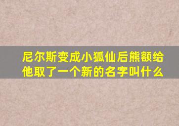 尼尔斯变成小狐仙后熊额给他取了一个新的名字叫什么