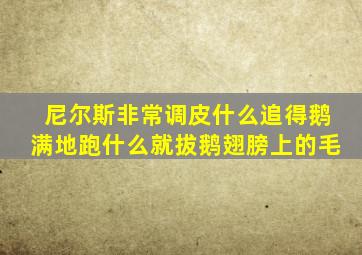 尼尔斯非常调皮什么追得鹅满地跑什么就拔鹅翅膀上的毛