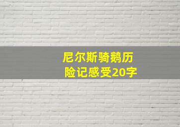 尼尔斯骑鹅历险记感受20字