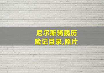 尼尔斯骑鹅历险记目录,照片