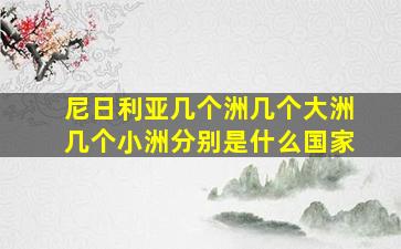 尼日利亚几个洲几个大洲几个小洲分别是什么国家