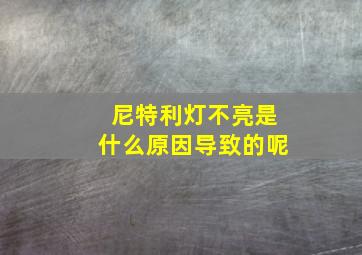 尼特利灯不亮是什么原因导致的呢