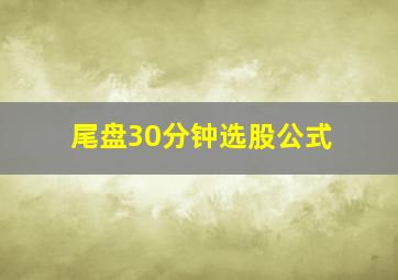 尾盘30分钟选股公式