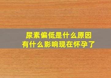 尿素偏低是什么原因有什么影响现在怀孕了