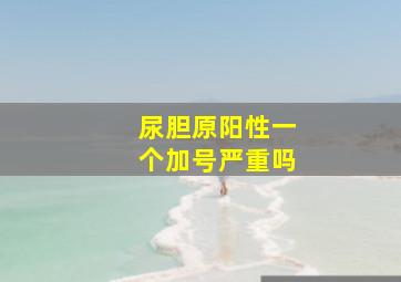 尿胆原阳性一个加号严重吗