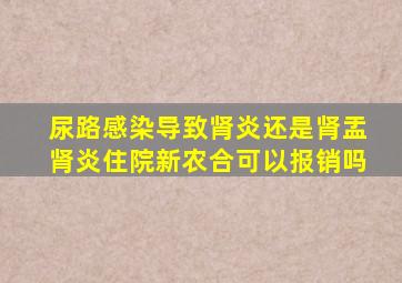 尿路感染导致肾炎还是肾盂肾炎住院新农合可以报销吗