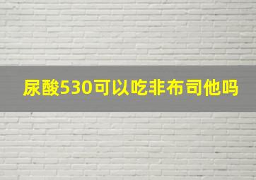 尿酸530可以吃非布司他吗