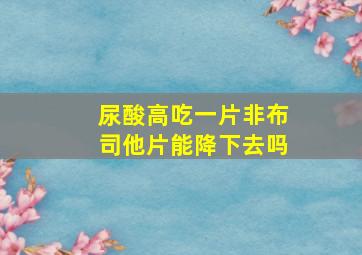 尿酸高吃一片非布司他片能降下去吗