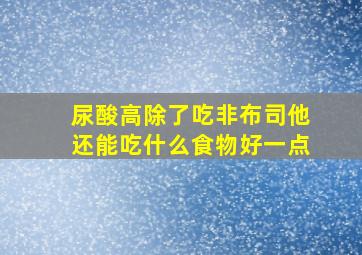 尿酸高除了吃非布司他还能吃什么食物好一点