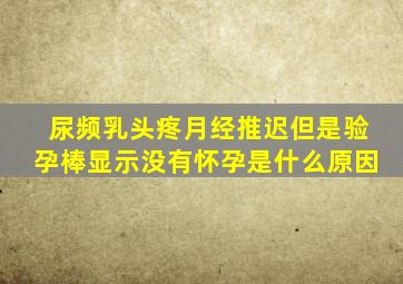 尿频乳头疼月经推迟但是验孕棒显示没有怀孕是什么原因