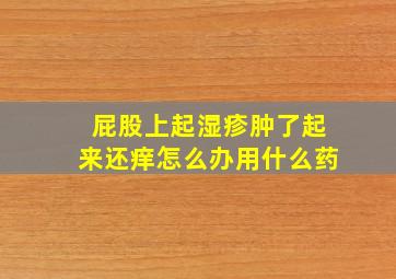 屁股上起湿疹肿了起来还痒怎么办用什么药