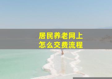 居民养老网上怎么交费流程