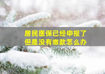 居民医保已经申报了但是没有缴款怎么办