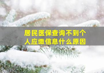 居民医保查询不到个人应缴信息什么原因