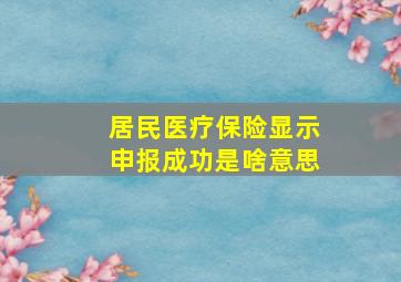 居民医疗保险显示申报成功是啥意思