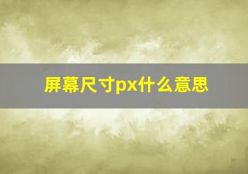 屏幕尺寸px什么意思