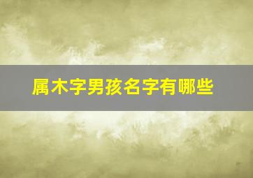 属木字男孩名字有哪些