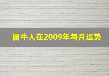 属牛人在2009年每月运势