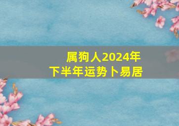 属狗人2024年下半年运势卜易居