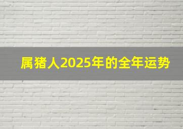 属猪人2025年的全年运势