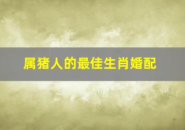 属猪人的最佳生肖婚配