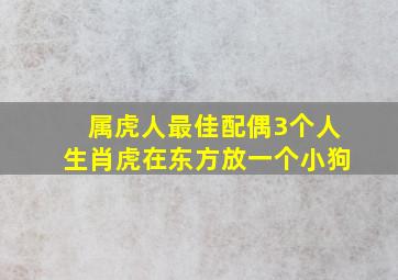 属虎人最佳配偶3个人生肖虎在东方放一个小狗