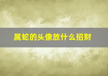 属蛇的头像放什么招财