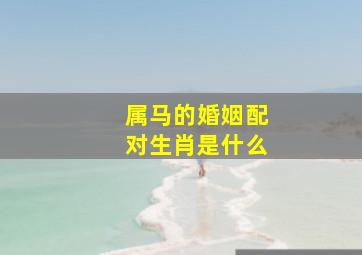 属马的婚姻配对生肖是什么