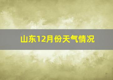 山东12月份天气情况