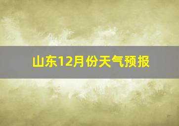 山东12月份天气预报