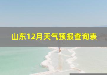 山东12月天气预报查询表