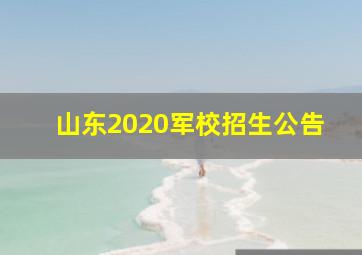 山东2020军校招生公告