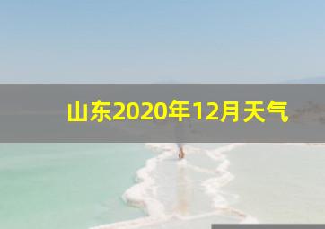 山东2020年12月天气